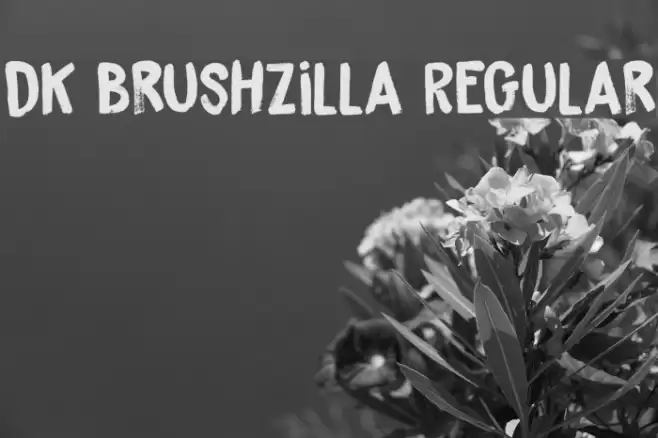 DK Brushzilla Regular Font examples