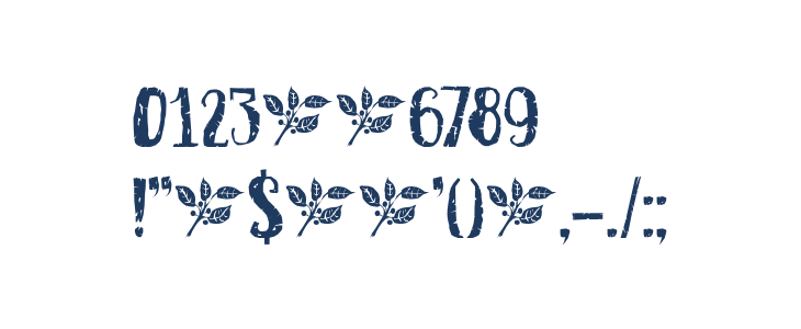 DK Buckthorn Regular Other Characters