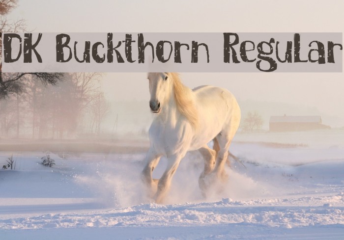 DK Buckthorn Regular Example 3