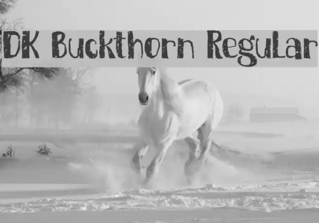 DK Buckthorn Regular Font examples