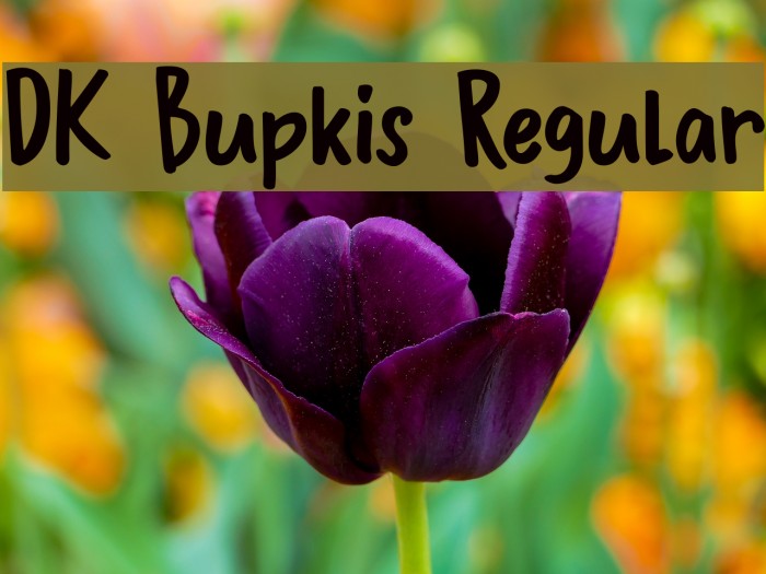 DK Bupkis Regular Font examples