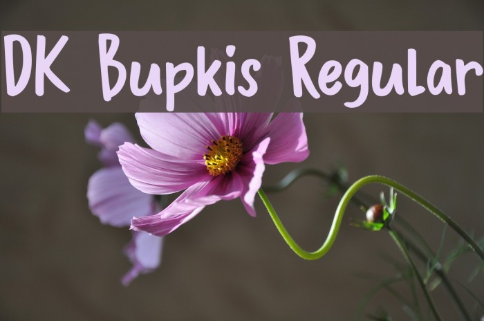DK Bupkis Regular Font examples