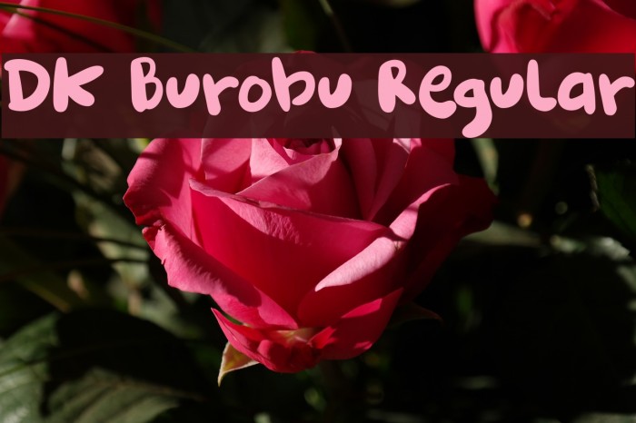 DK Burobu Regular Font examples