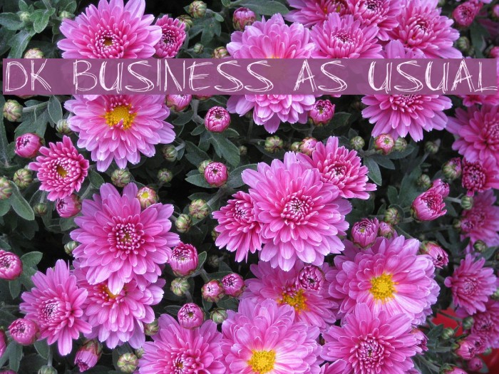 DK Business As Usual Font examples
