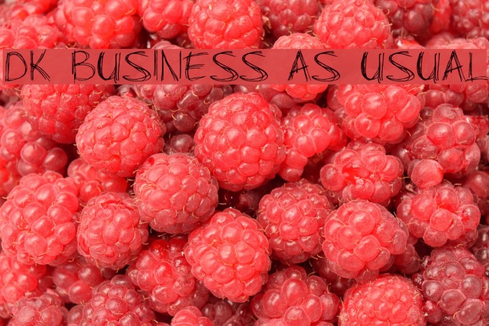 DK Business As Usual Font examples