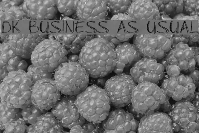 DK Business As Usual Example 3