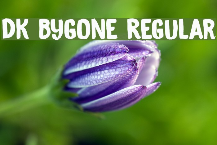 DK Bygone Regular Example 2