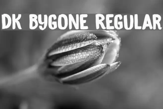 DK Bygone Regular Font examples