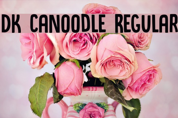 DK Canoodle Regular Font examples