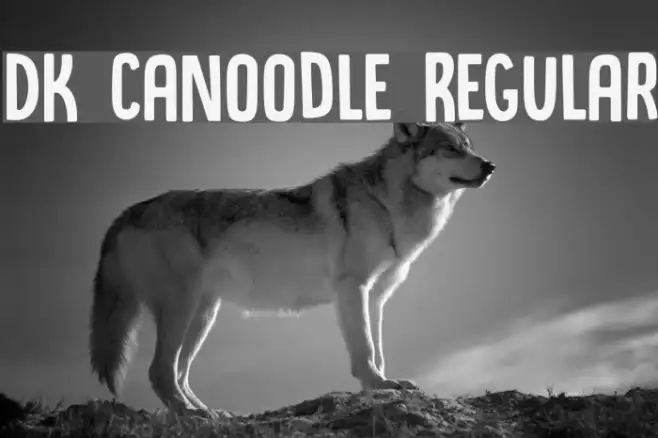 DK Canoodle Regular Example 2