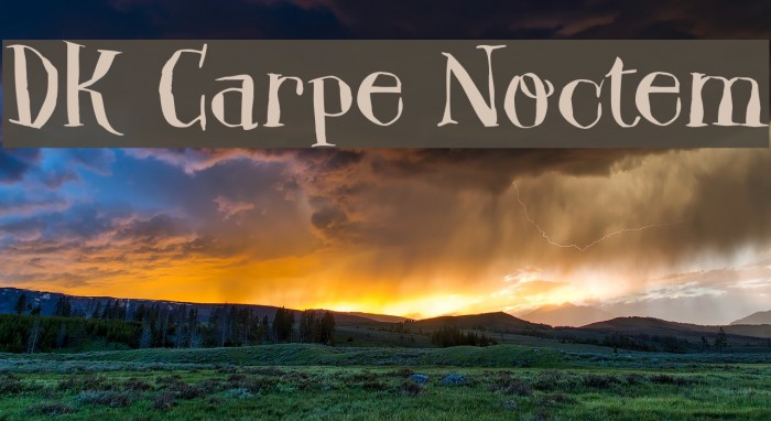 DK Carpe Noctem Font examples