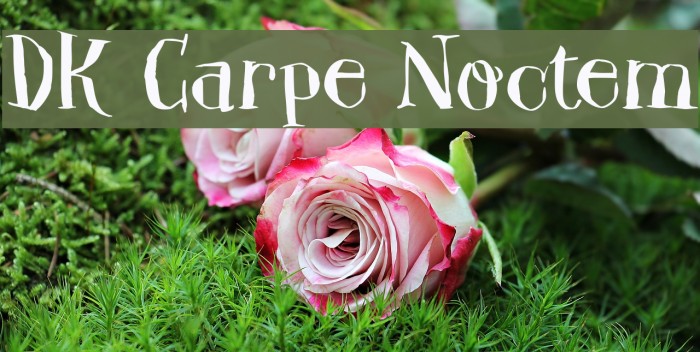 DK Carpe Noctem Font examples