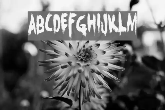 DK Charons Obol Font examples