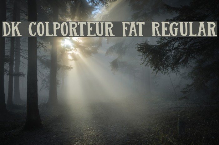 DK Colporteur Fat Regular Font examples