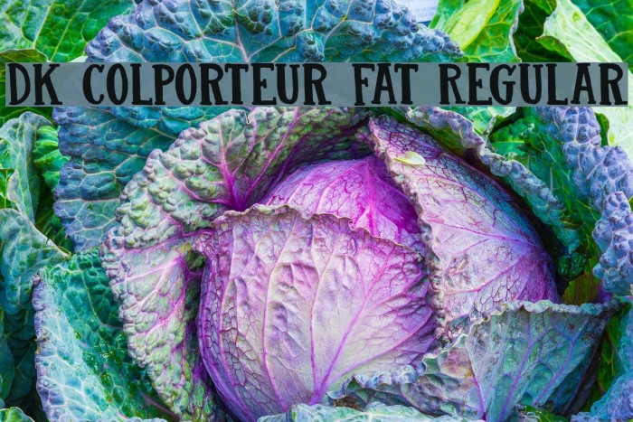 DK Colporteur Fat Regular Font examples