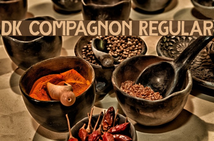 DK Compagnon Regular Font examples