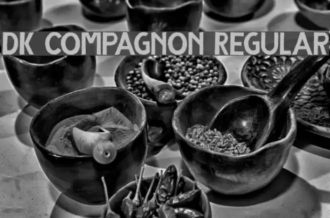 DK Compagnon Regular フォント examples