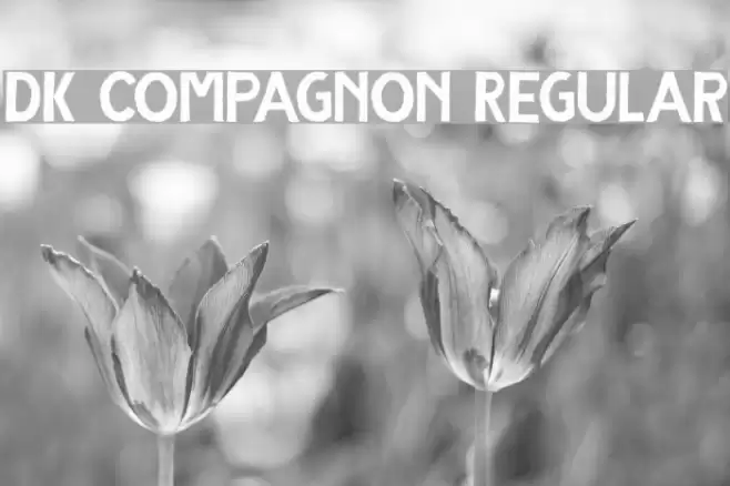 DK Compagnon Regular フォント examples
