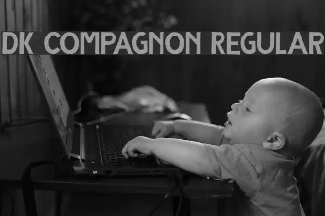 DK Compagnon Regular フォント examples