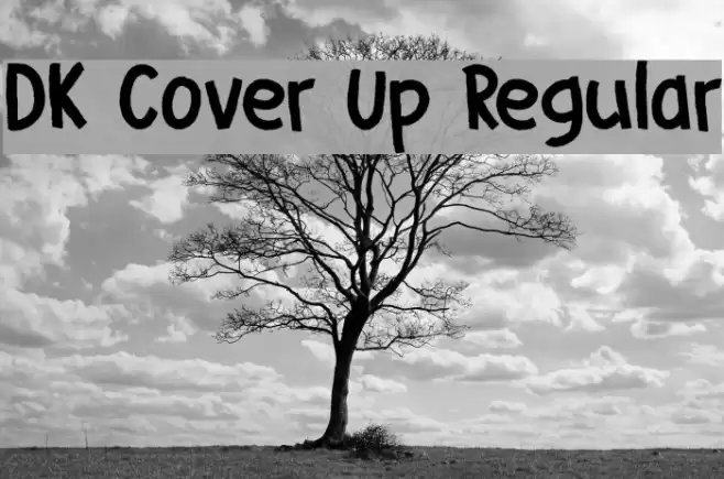 DK Cover Up Regular Font examples