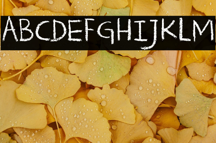 DK Crayon Crumble Example 1