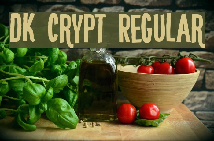 DK Crypt Regular Font examples