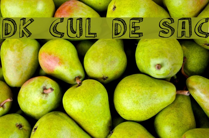 DK Cul De Sac Font examples