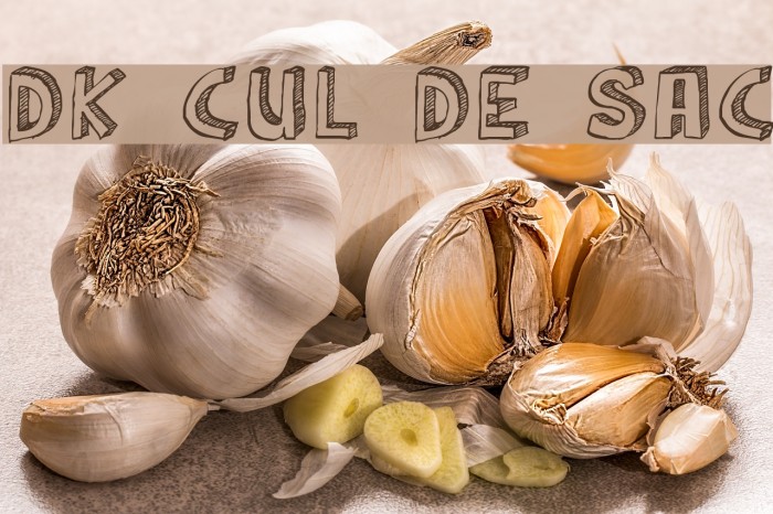 DK Cul De Sac Font examples