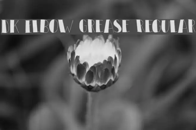 DK Elbow Grease Regular Font examples