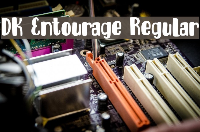 DK Entourage Regular Font examples
