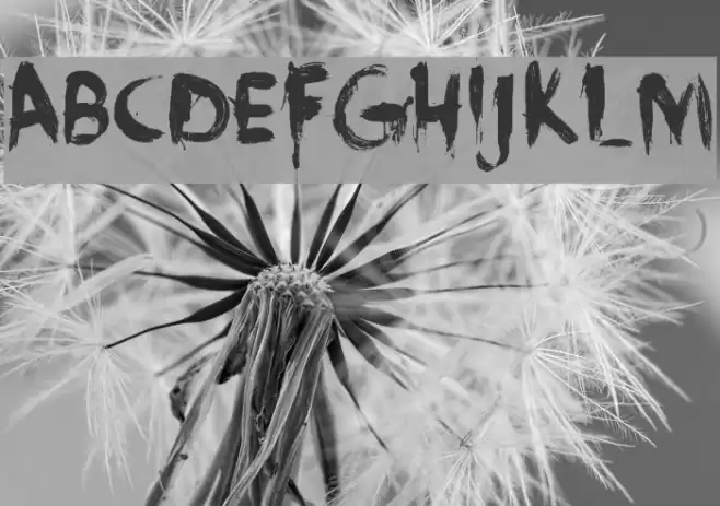 DK Face Your Fears Font examples