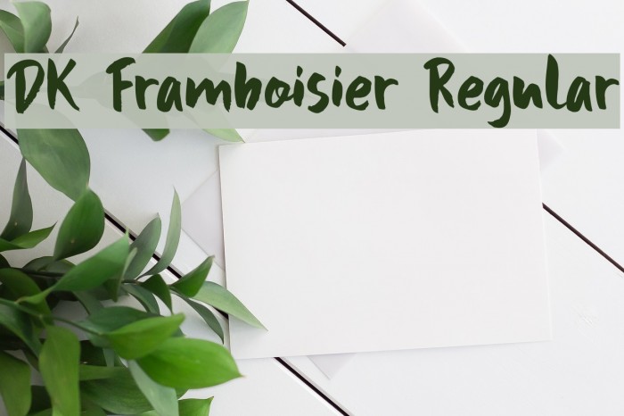 DK Framboisier Regular Font examples