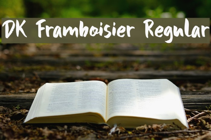 DK Framboisier Regular Font examples