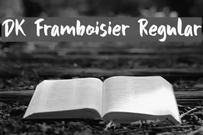 DK Framboisier Regular Font examples