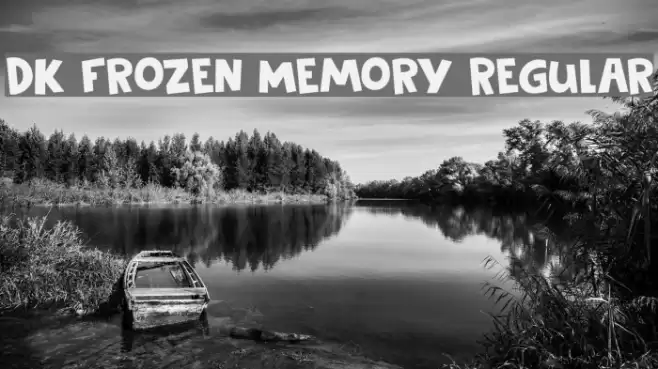 DK Frozen Memory Regular Font examples