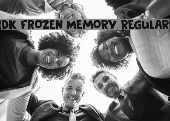 DK Frozen Memory Regular Font examples