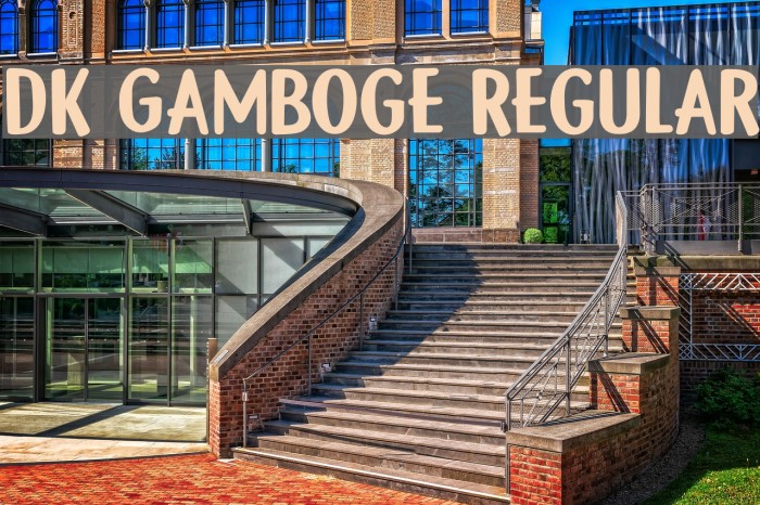 DK Gamboge Regular Font examples