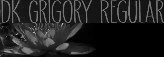 DK Grigory Regular Font examples
