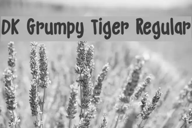 DK Grumpy Tiger Regular Font examples