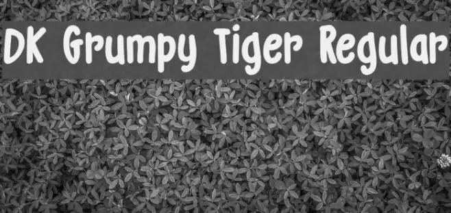 DK Grumpy Tiger Regular Font examples