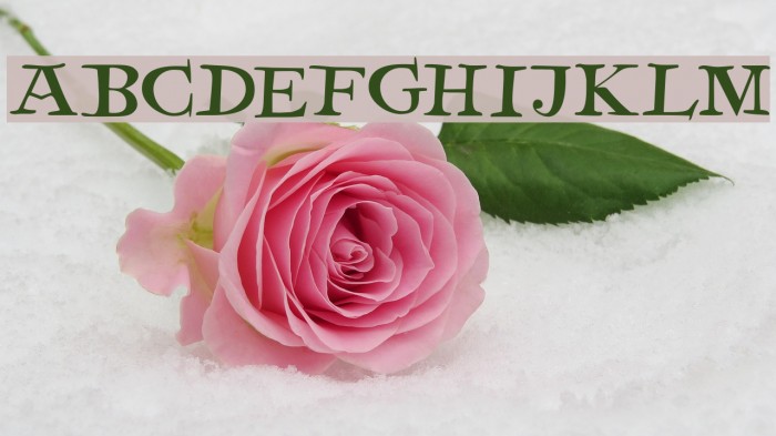 DK Henceforth Font examples
