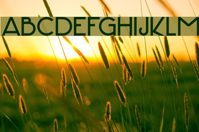 DK Hofstad Regular Font examples