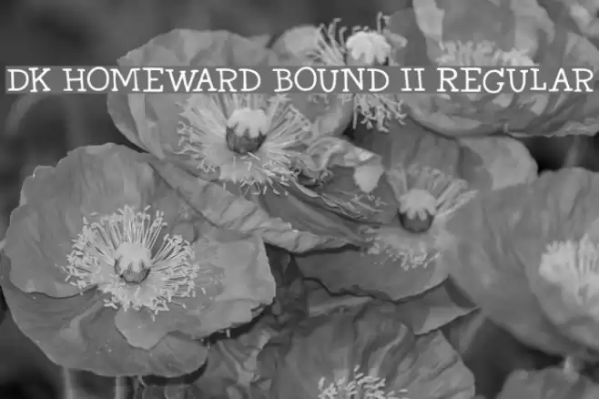 DK Homeward Bound II Regular Fonte examples