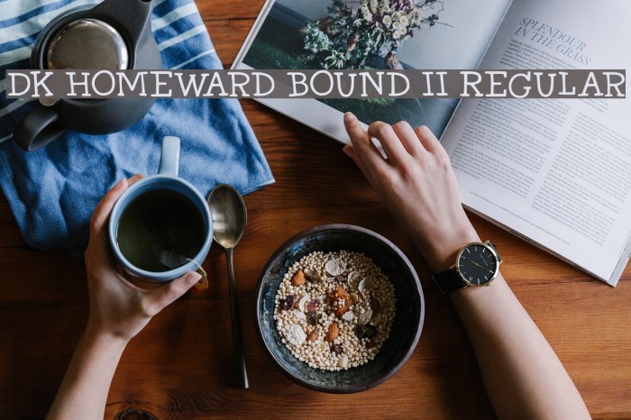DK Homeward Bound II Regular Font examples