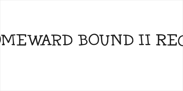 DK Homeward Bound II Regular Logo