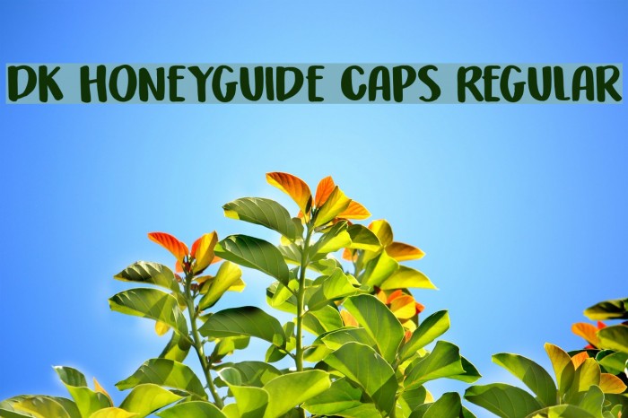 DK Honeyguide Caps Regular Font examples