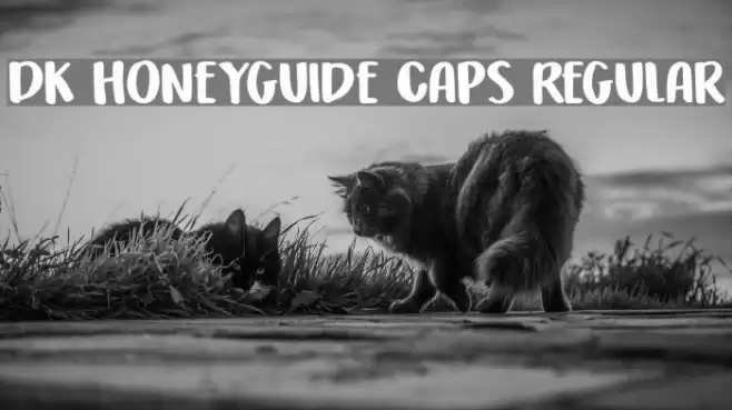 DK Honeyguide Caps Regular Font examples