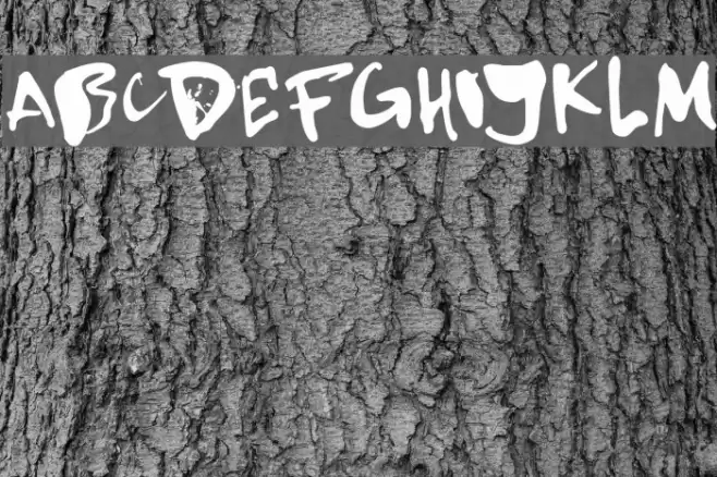 DK Kempoka Regular Font examples