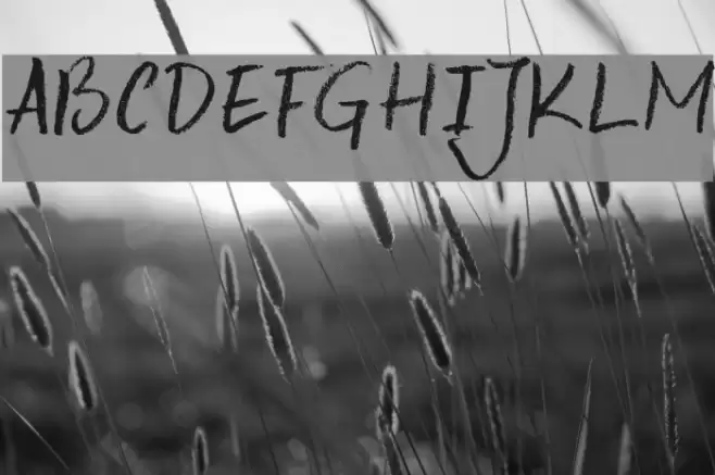 DK Keswick Font examples