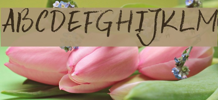 DK Keswick Example 3